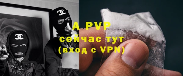 амф Белокуриха