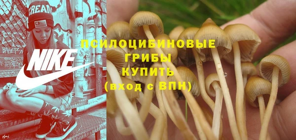 метадон Беломорск