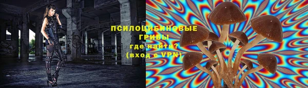 хмурый Белоозёрский