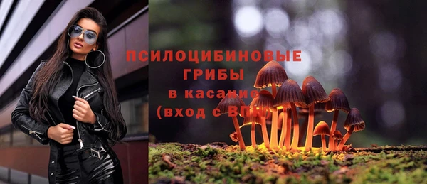 амф Белокуриха